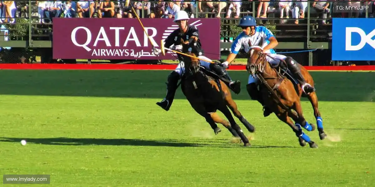 体育周边,冠军同款,你的专属装备库!🏆🎯